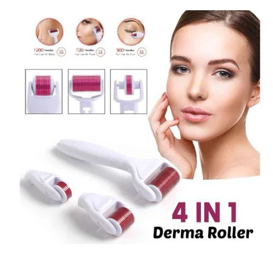 4 In 1 Derma Roller Set Stainless Micro Needles With Travel Case | 1282