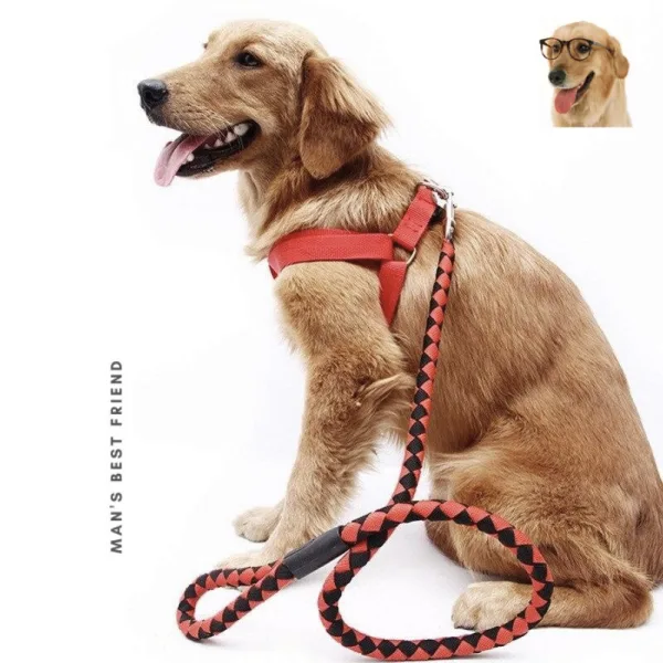 Adjustable Dog Harness and Outdoor Walking Nylon Dog Leash Lead Pets Dog Sale Durable Traction Train | 25431