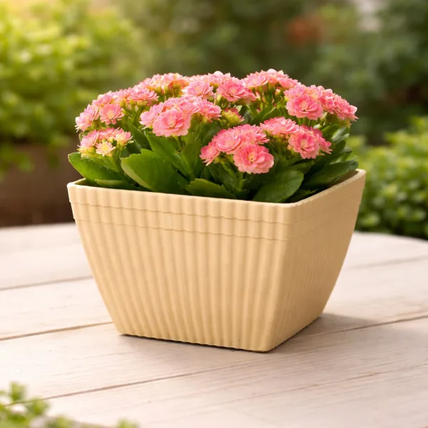 Bloom Square Ribbed Planter Pot White Colour (5 Pcs Set - Pots Only) Size - 5" x 4" | 54268