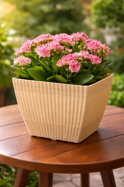 Bloom Square Ribbed Planter Pot White Colour (5 Pcs Set) 7" x 6" | 66487