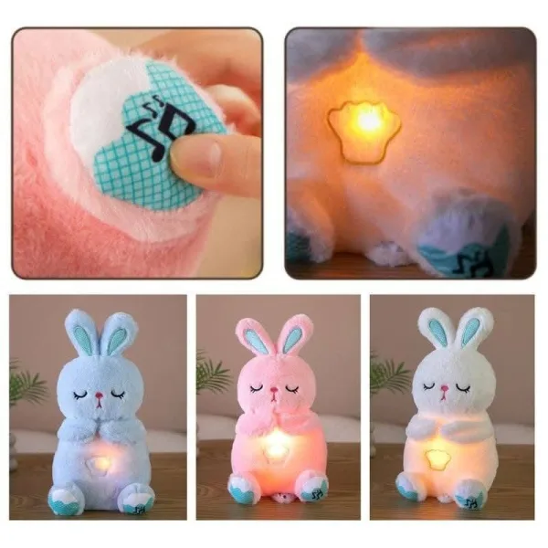 Breathing Cute Rabbit | 1682