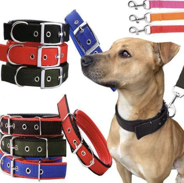 Dog Collars Nylon Dog Collar For Small Collar Only Random Colours C1033 | 518
