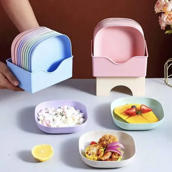 10 Piece Plastic Plates Set With Holder | 689